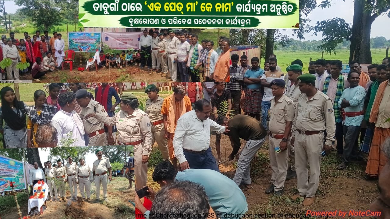 ଡାବୁଗାଁ ଠାରେ ଏକ ପେଡ୍ ମାକେ ନାମ କାର୍ଯ୍ୟକ୍ରମ ଅନୁଷ୍ଠିତ